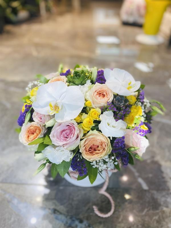 Geçmiş Olsun Çiçeği