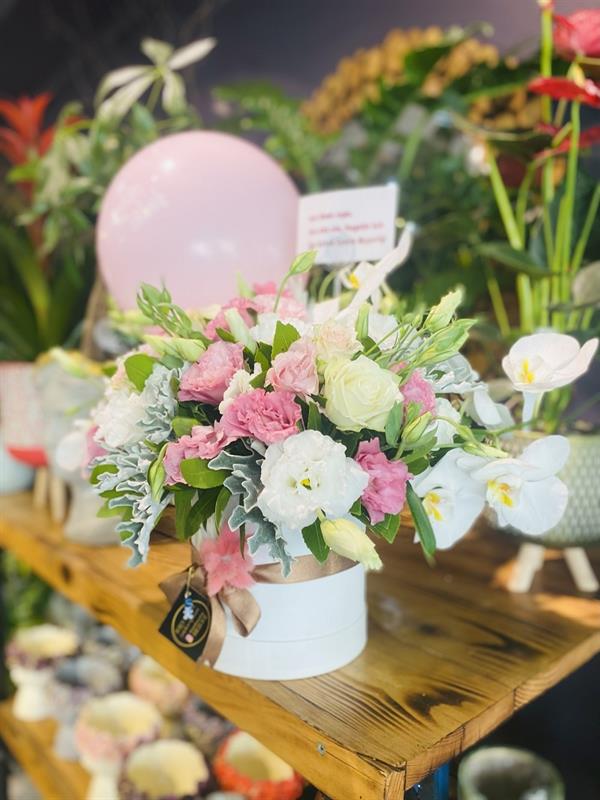 Yeni Bebek Çiçekleri