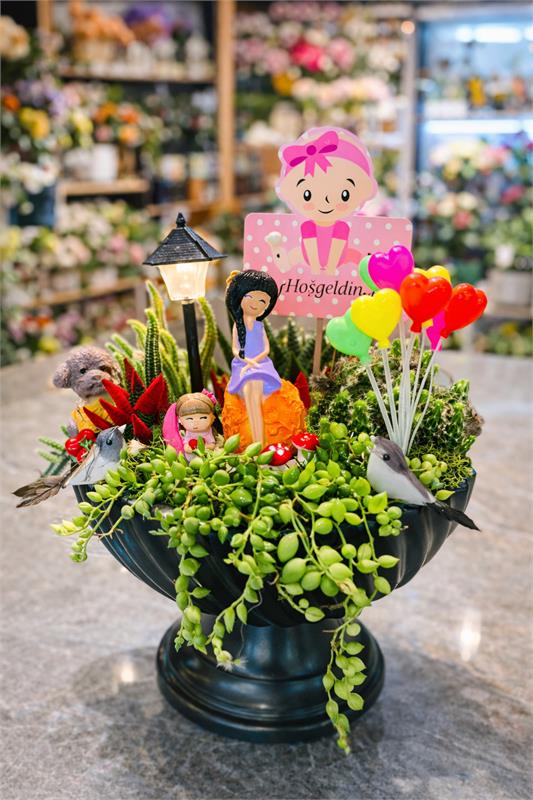 Hoş Geldin Mini Mucize Teraryumu