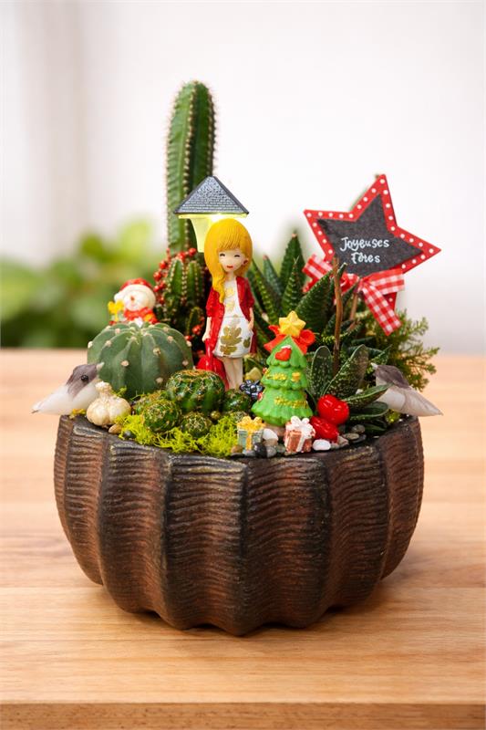 Yeni Yıl Figürlü Kaktüs Teraryumu