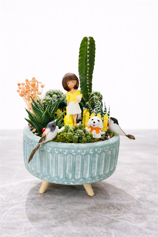Sevimli Kız Figürlü Kaktüs & Sukulent Bahçesi