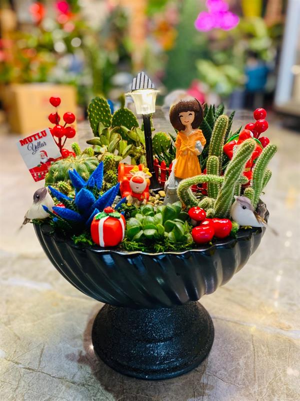 Bahçe Sukulent & Kaktüs Aranjmanı