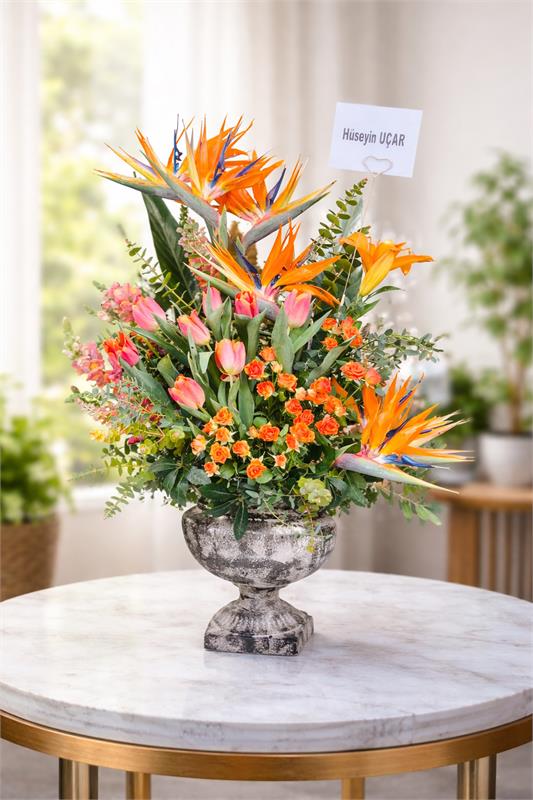 Turuncu Cennet Aranjmanı