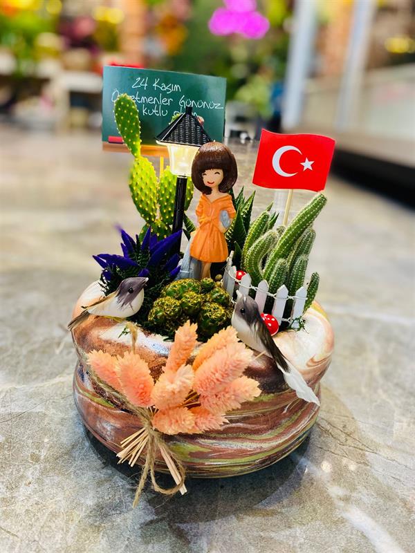 Bilgi Işığı – Öğretmene Özel Teraryum