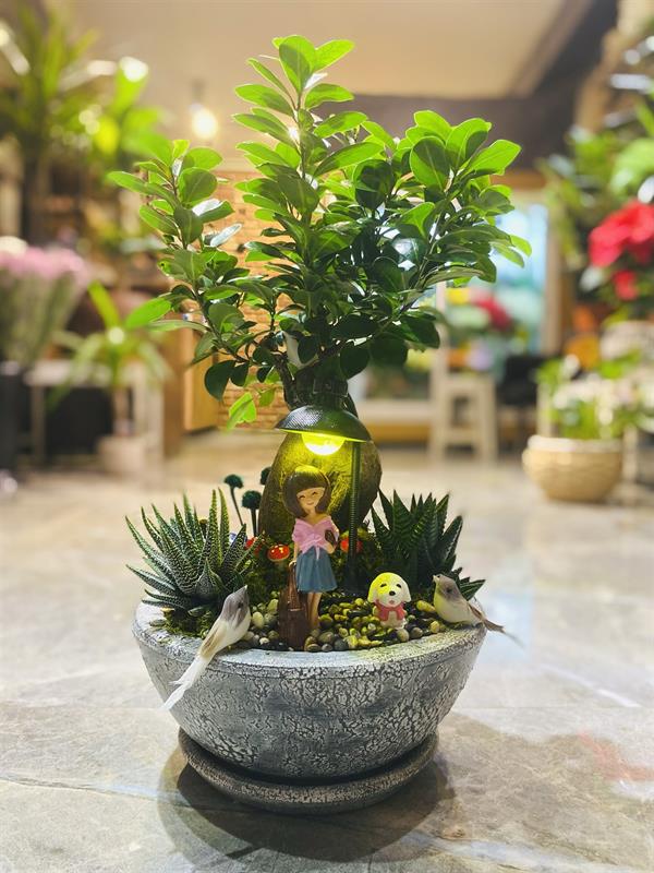 Masalsı Işık Bonzai Bahçesi