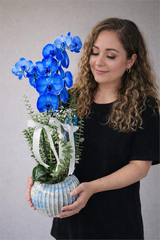 Çift Dal Mavi Orkide