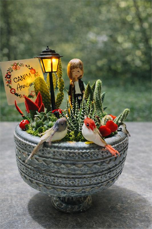 Canım Annem Işıklı Teraryum