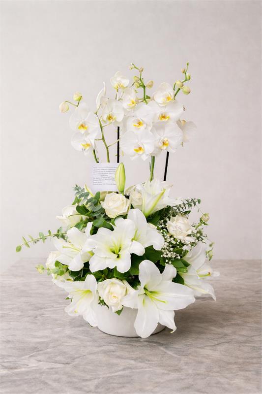 Zarif Beyaz Orkide & Lilyum Aranjmanı