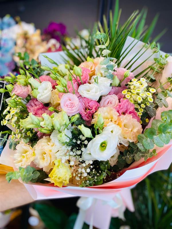 Lisyantus Zarifliği