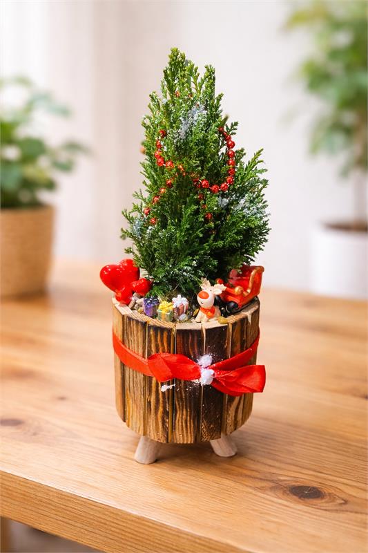 Yılbaşı Mini Çam Aranjmanı