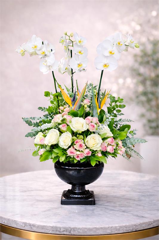 Beyaz Asalet Orkide & Gül Aranjmanı